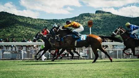 Unveiling the Past and Present of Horse Racing
