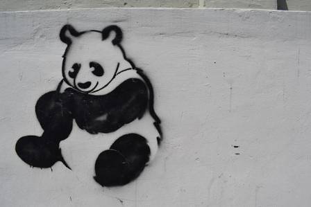 Learn to Draw a Giant Panda
