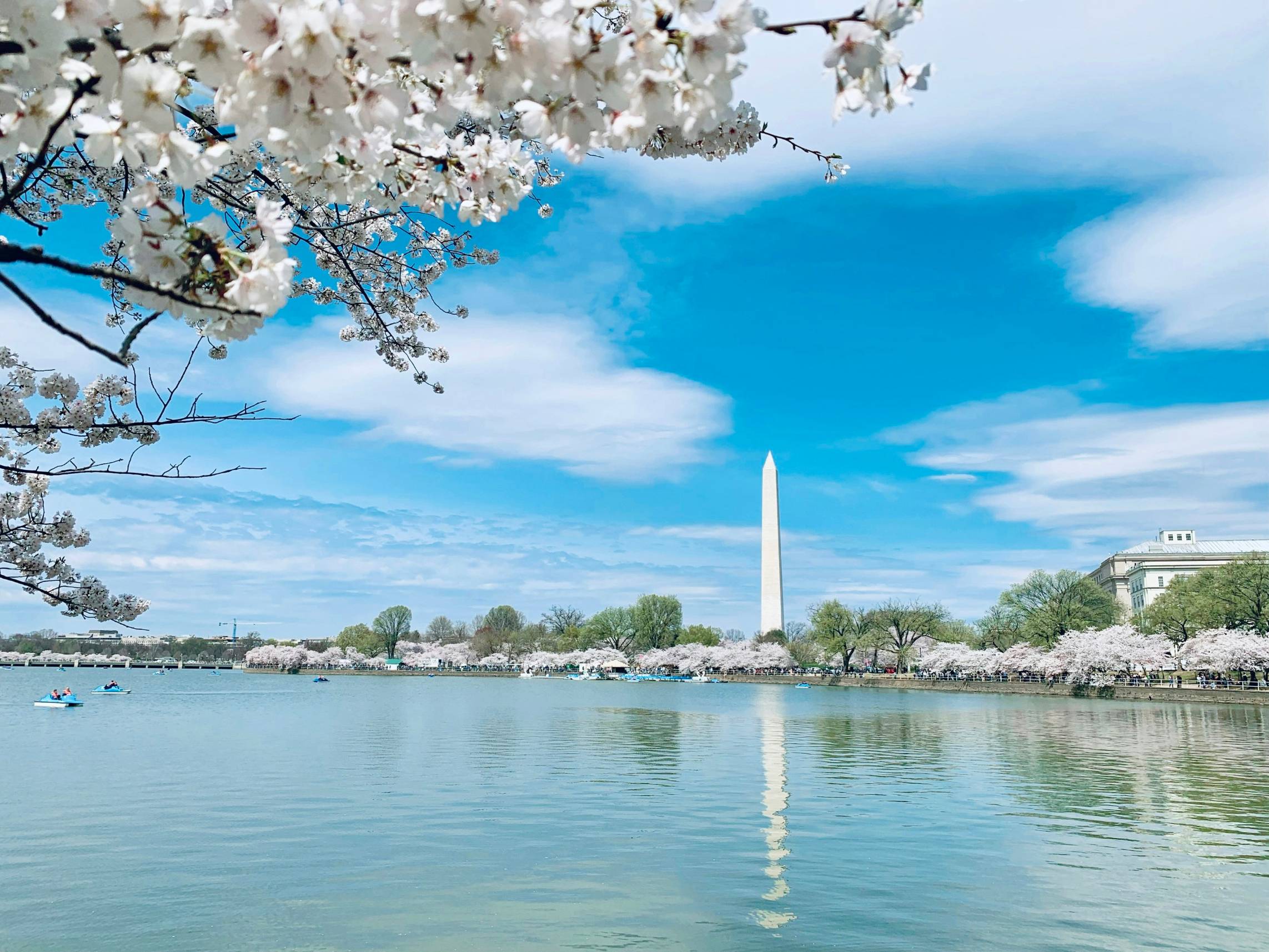 a view of the washington monument from across the water