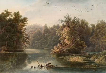 A Complete Guide to Painting Immersive Forest Landscapes