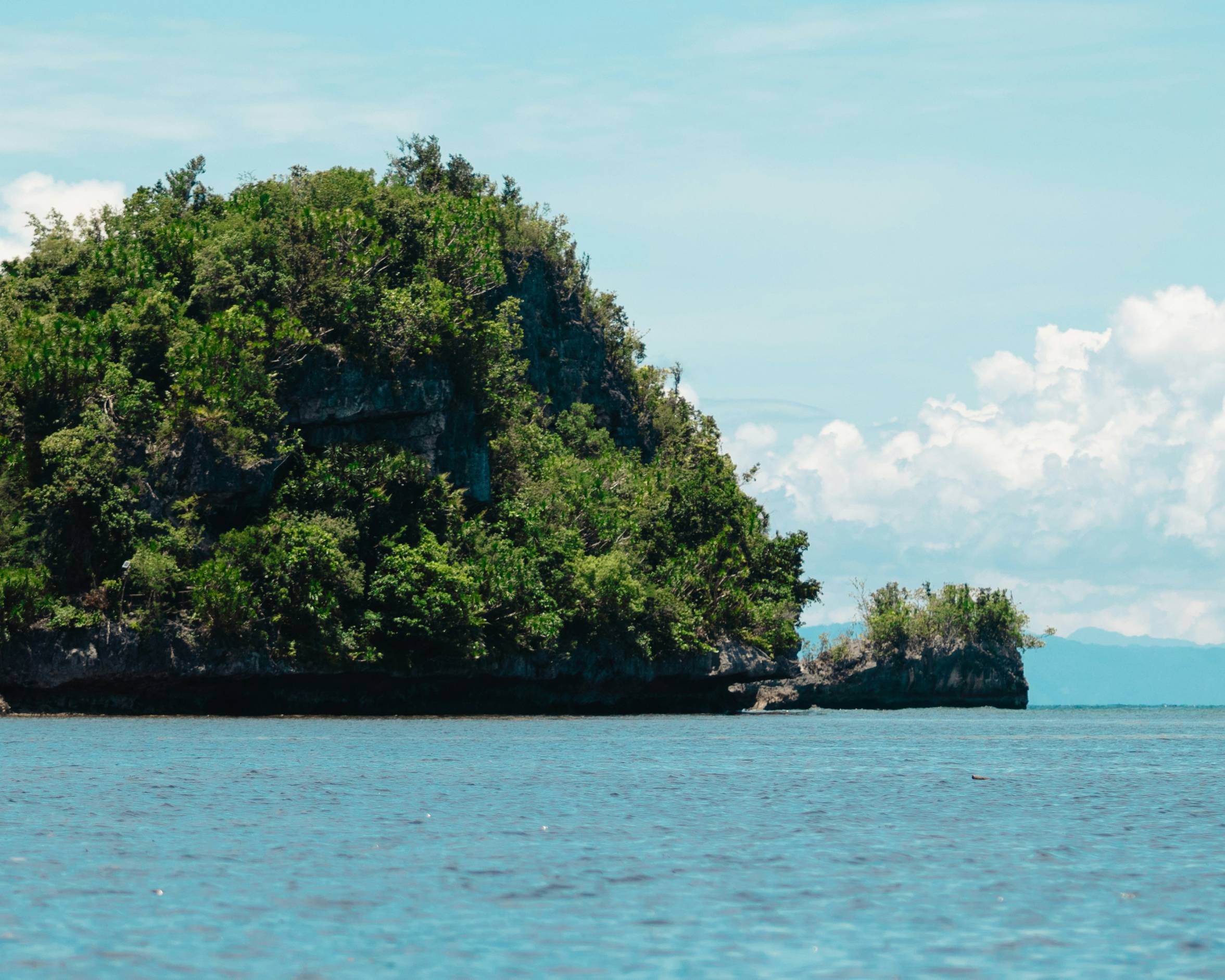 Lush green island with rocky cliffs in blue ocean.