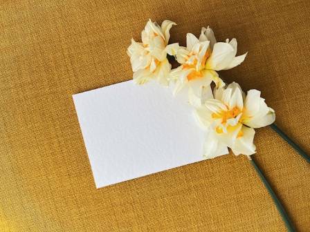 Chinese Jianzhi: The Timeless Art of Paper Cutting