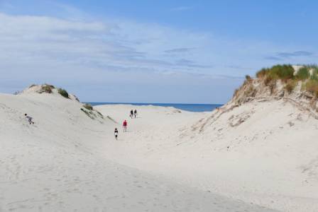 8 of the Best Coastal Sand Dunes You Need to Explore in California