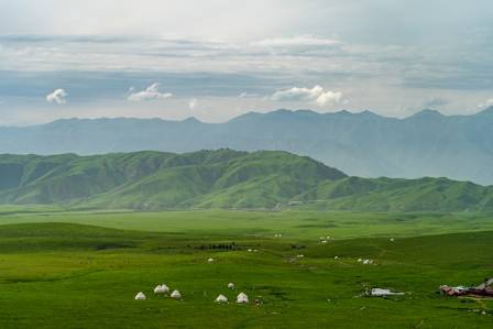 8 Largest Grasslands Around the World You Should Know About